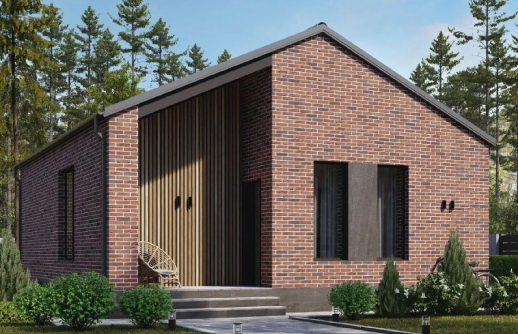 Малина СИП 58