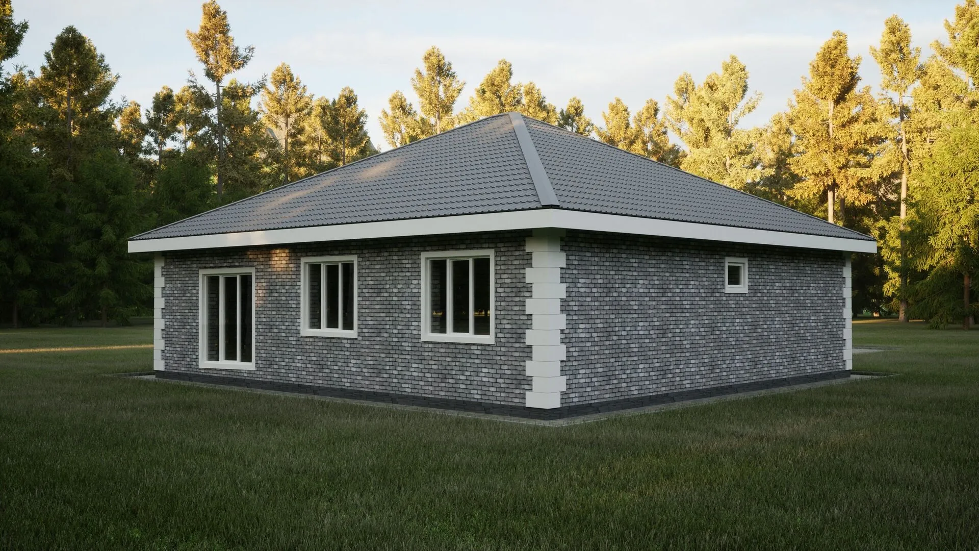 Дом из газобетона Лоос