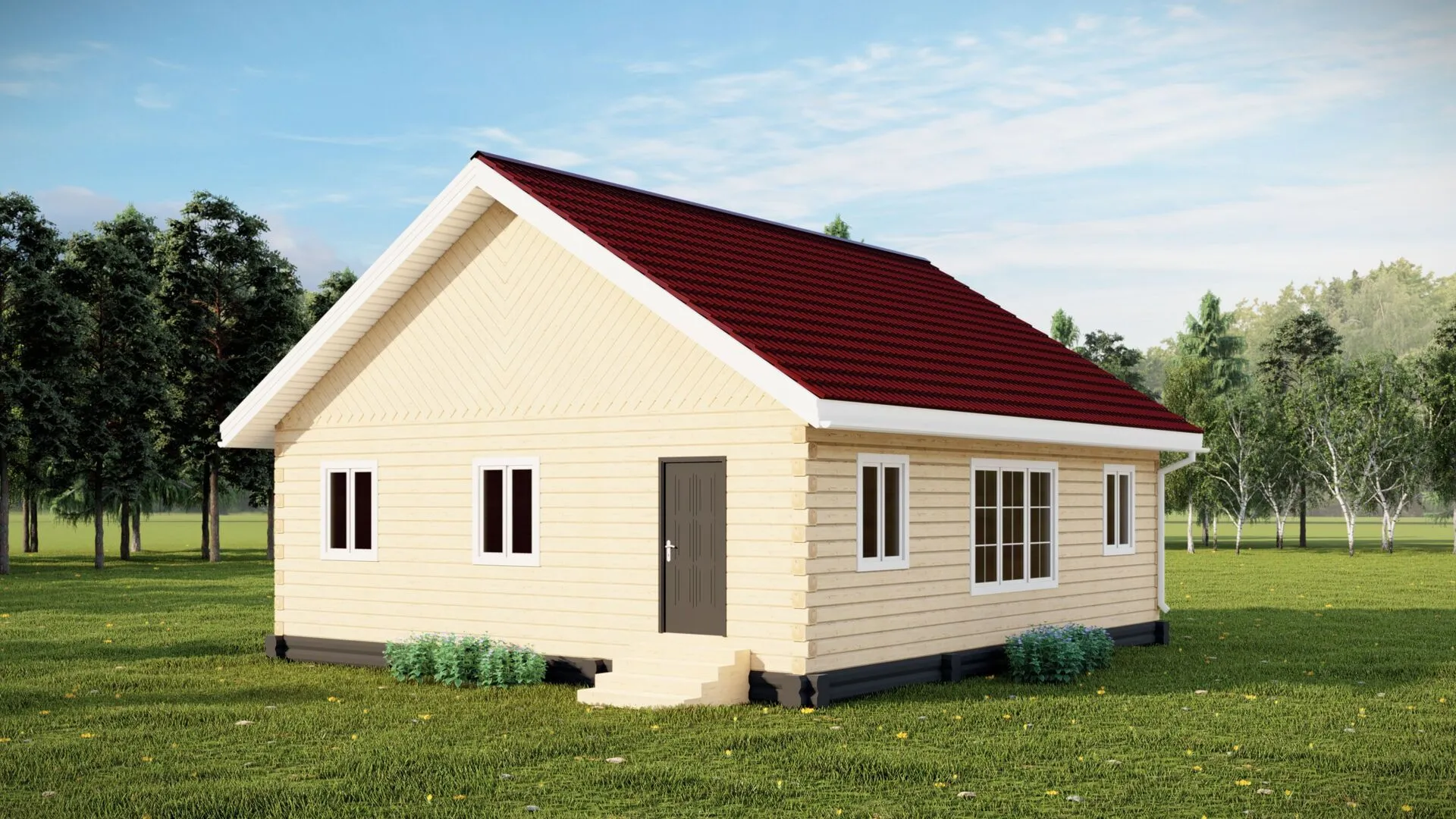 Одноэтажный дом 9мх10м