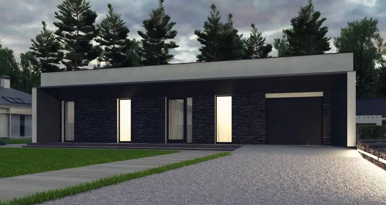 Одноэтажный дом Авангард 1.163