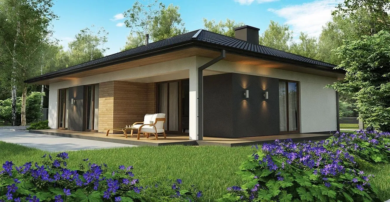 Одноэтажный дом Элегант 1.118