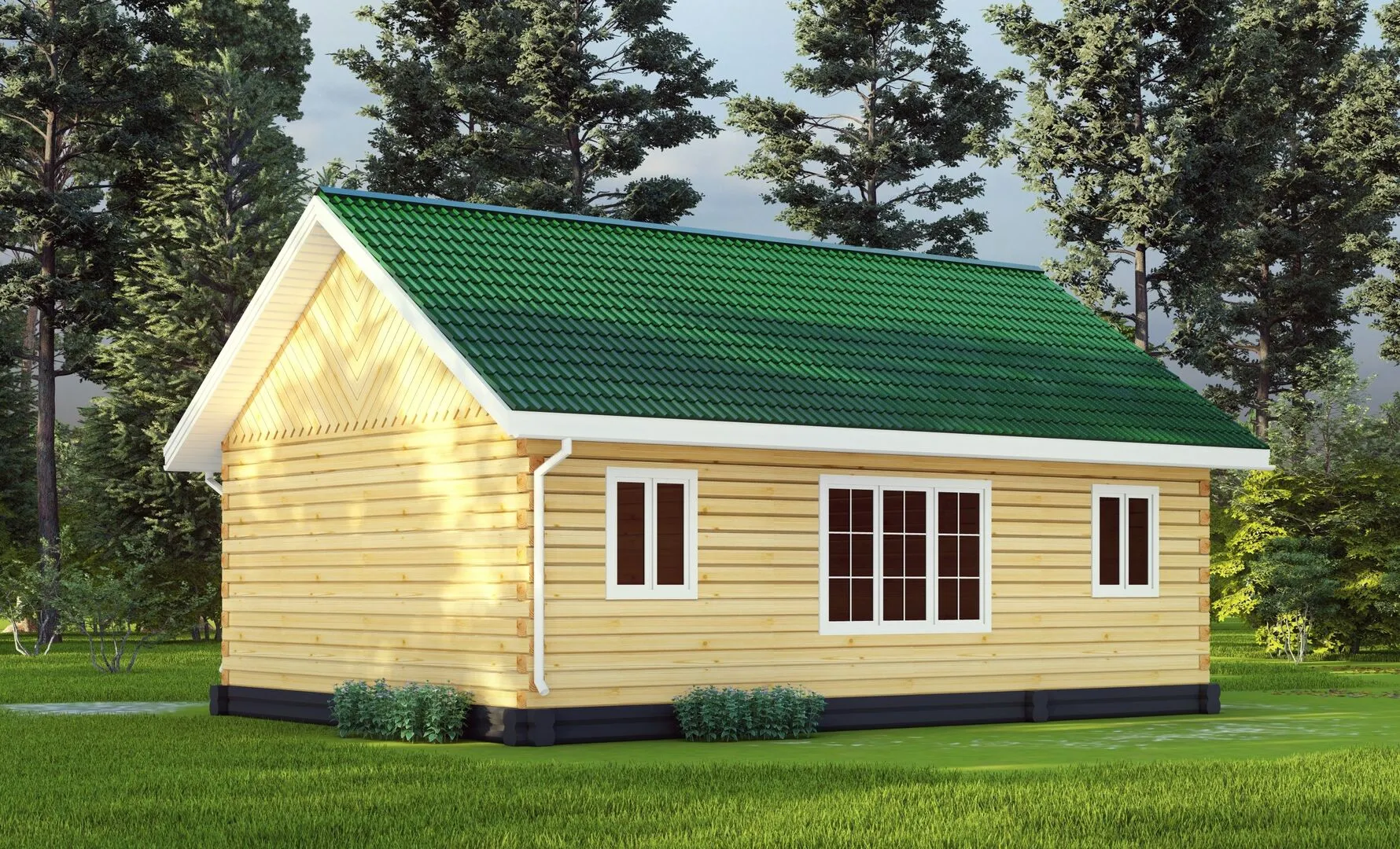 Одноэтажный классический дом 7мх10м