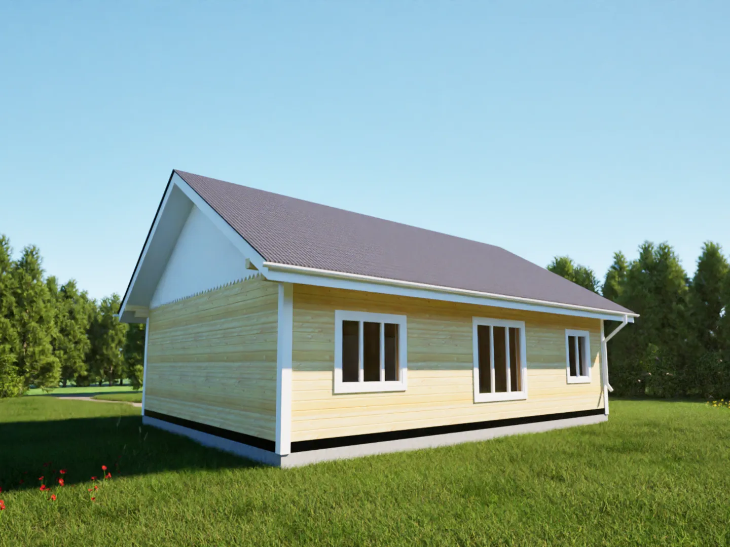 Одноэтажный дом размером 9*12